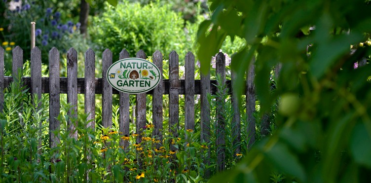 Read more about the article Tipps & Tricks für einen pflegeleichten, klimafitten und artenreichen Garten: