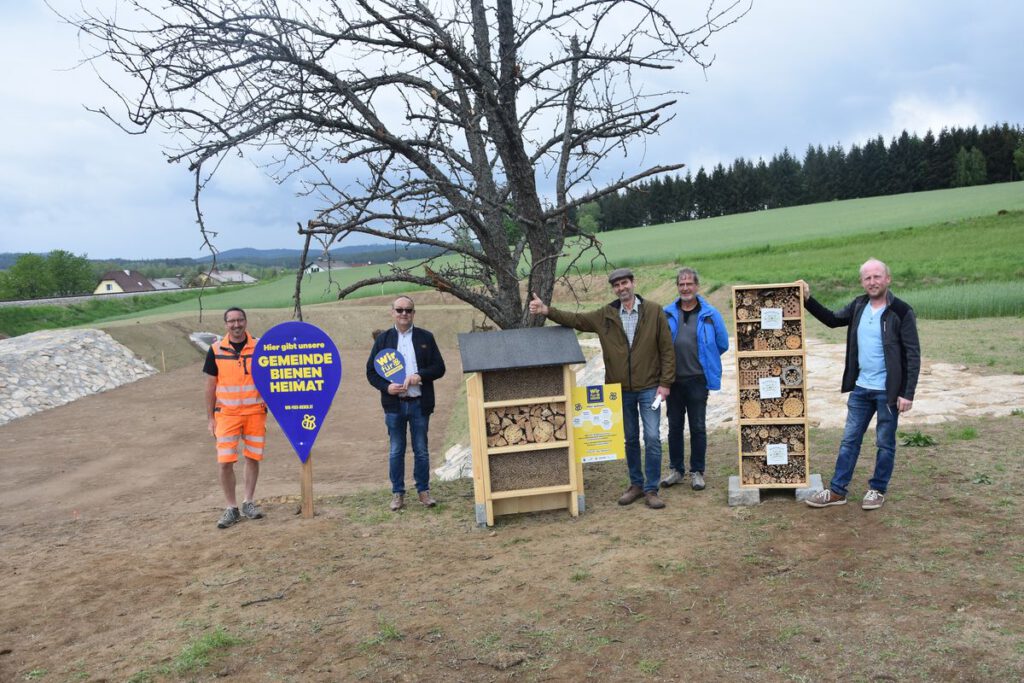 Read more about the article Wir für Bienen – unsere Volksschulkinder helfen mit