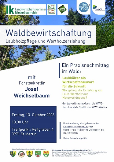 Read more about the article Praxisnachmittag im Wald