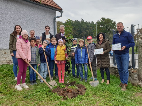 Read more about the article Schatten im öffentlichen Raum