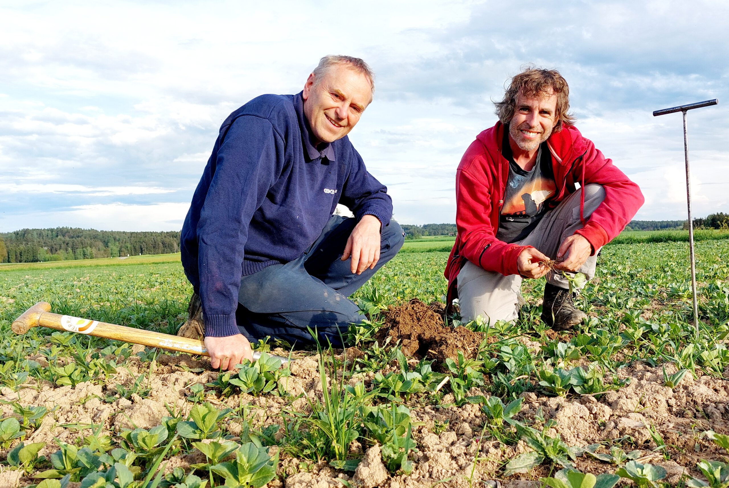 Read more about the article Zuschuss Bodenanalysen